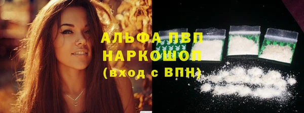 ешки Белокуриха