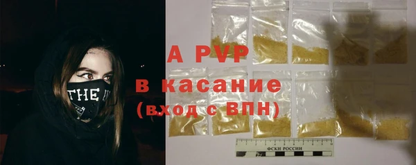 ешки Белокуриха