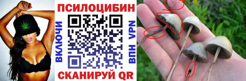 Псилоцибиновые грибы Magic Shrooms  Купить где  Шелехов 